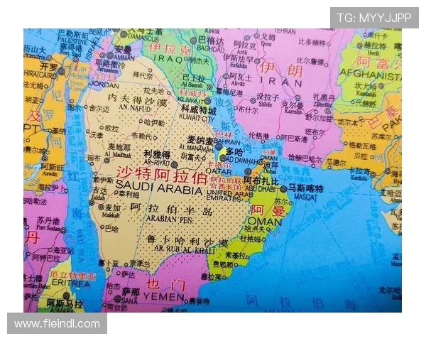 伊朗对阵埃及的世界杯比赛将在卡塔尔多哈举行,详细比赛场馆和城市信息介绍 伊朗对阵埃及的世界杯比赛将在卡塔尔多哈举行,详细比赛场馆和城市信息介绍